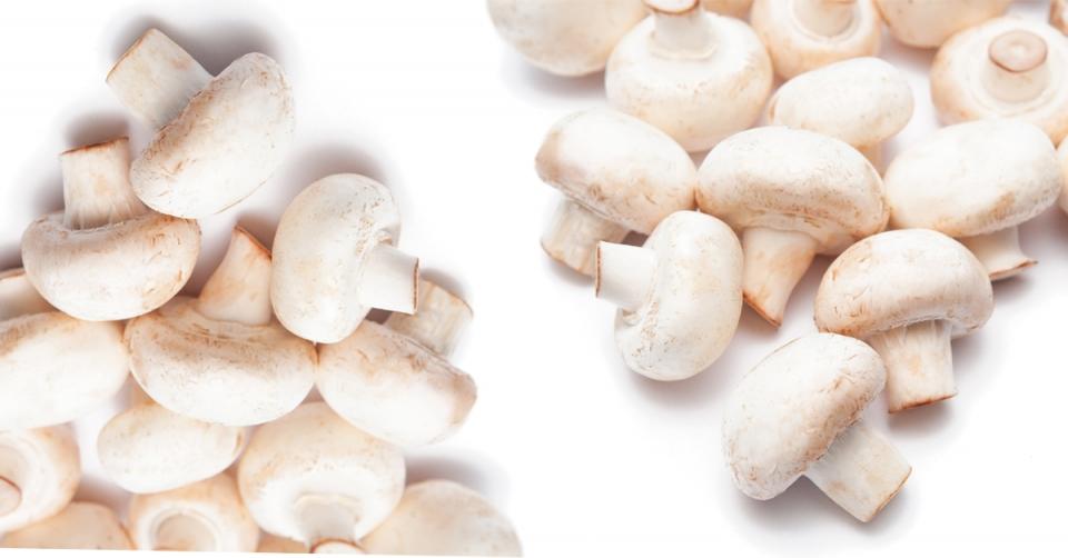 Mushrooms could help prevent diabetes image 
