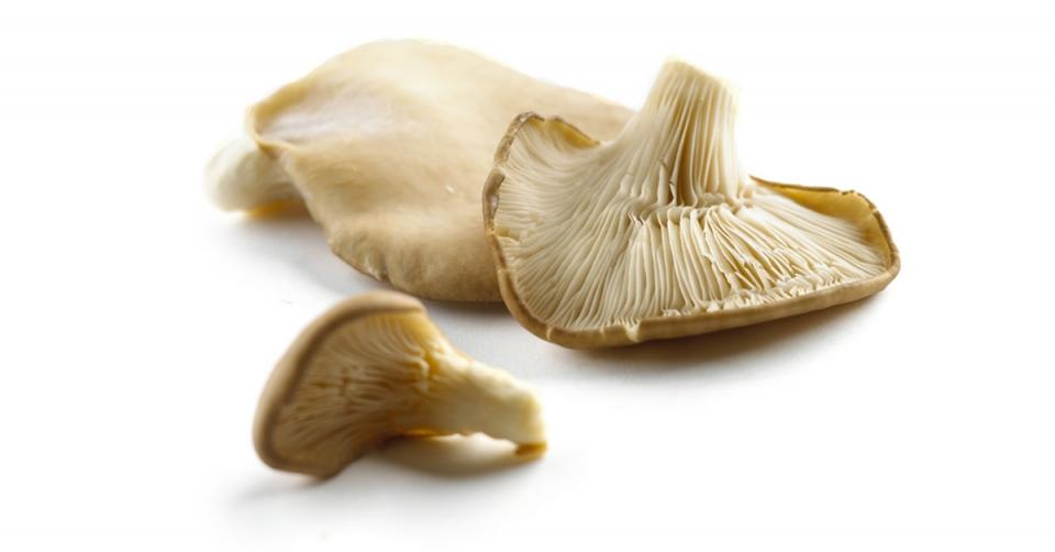 Two servings of mushrooms a week protect against memory loss image 