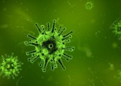 Infezione da Coronavirus: informazione e buon senso 
