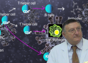 Immunità cellulare nei riguardi dei coronavirus – Prof. Giulio Tarro